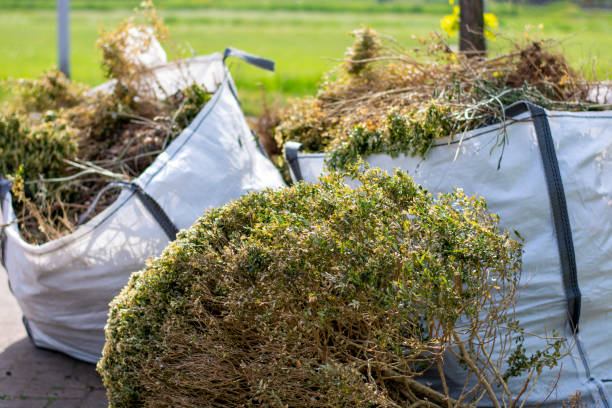 Best Commercial Junk Removal  in Fruitland, IA