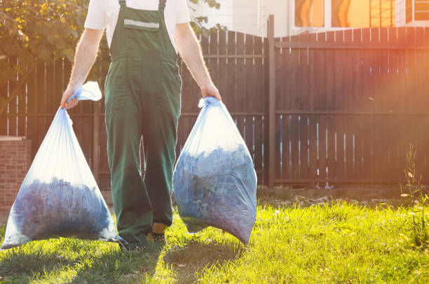 Best Household Junk Removal  in Fruitland, IA